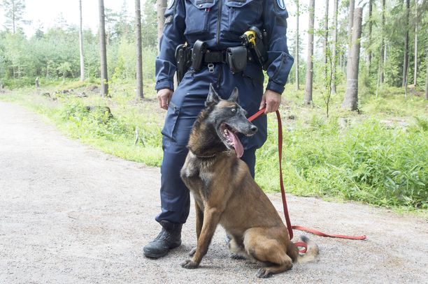 Uutta Tietoa Tohmajärven Mökkipainajaisesta: Päihtynyt Mies Uhkaili ...