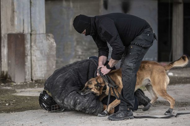 Erikoisjoukoissa kokelaiden kimppuun hyökkää taistelukoira