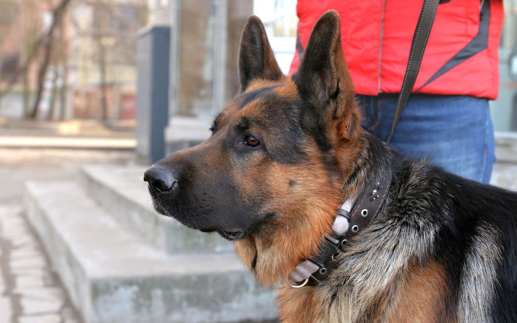 Gigantti myi laittomia tuotteita ja teki äkkiliikkeen – Tästä on kyse