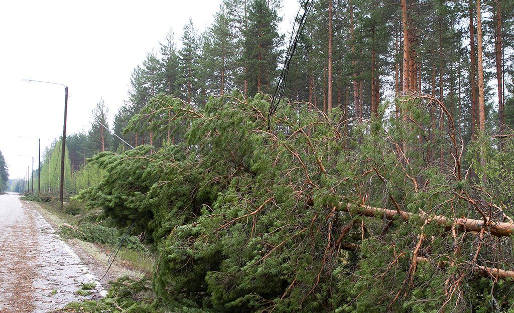 Trombi kylvi tuhoa Pohjois-Karjalassa: repi peltikatot irti, kaatoi puita, aiheutti vesivahingon...