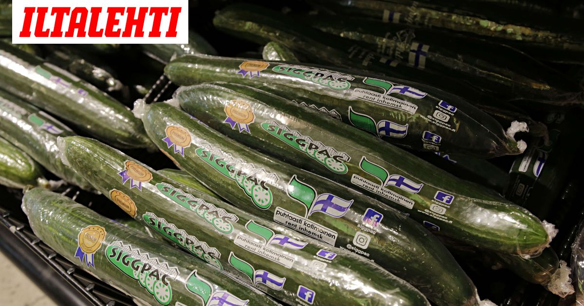 5 syytä syödä kurkkua