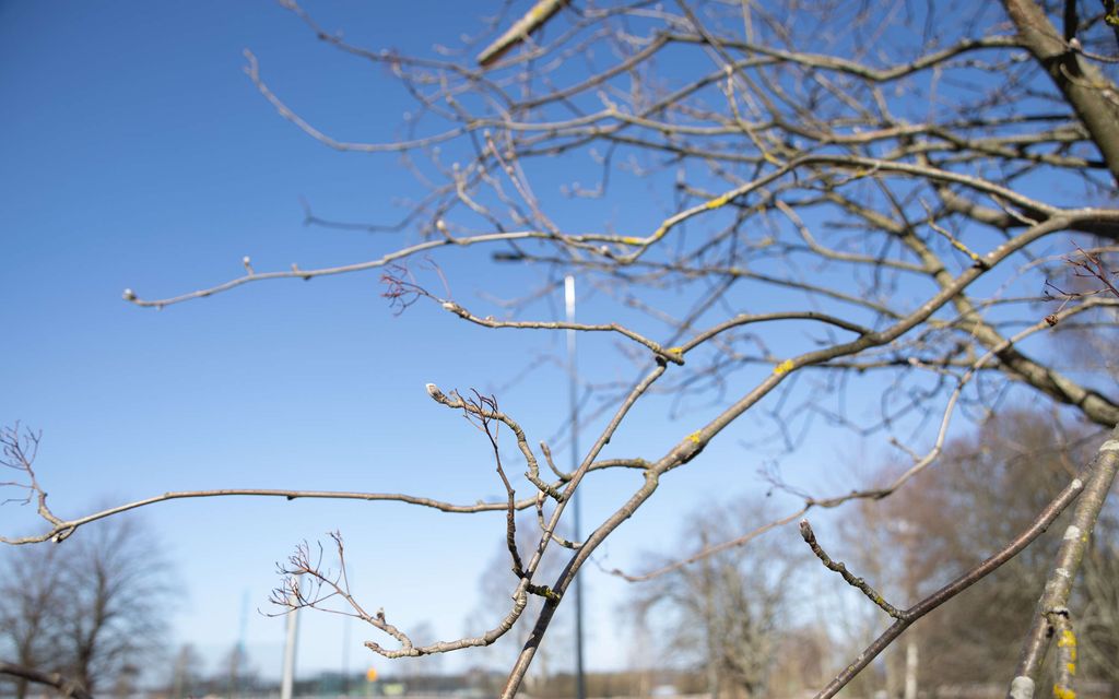 Keväinen lämpö hellii Suomea – Mutta sitten tapahtuu muutos