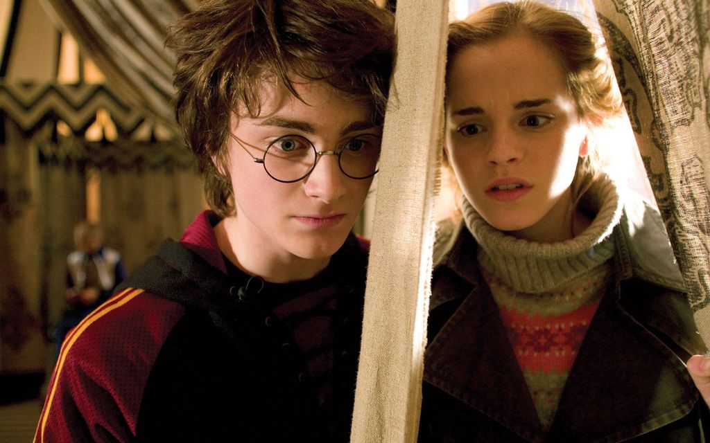 Harry Potter -fanit heittävät sukkia luontoon – Viranomaiset helisemässä