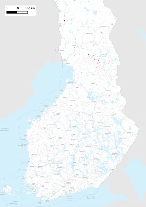 Suomesta löytyi suojelematonta luonnonmetsää