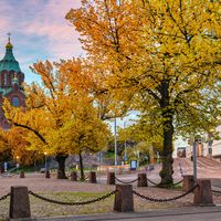 Tässä ovat Helsingin väkivaltaisimmat asuinalueet