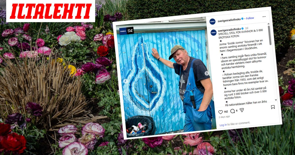 www.iltalehti.fi