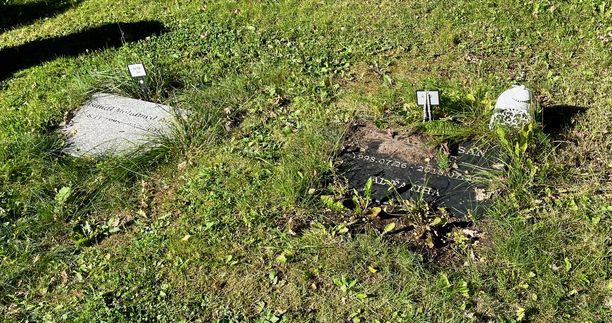 Muslimien hauta-alueella Tukholman eteläpuolella on vierekkäin haudattuna Izzy (vas.)  ja Maslah. Lapsuudenystävien kuolemien jälkeen kaikki eskaloitui Rinkebyssä.