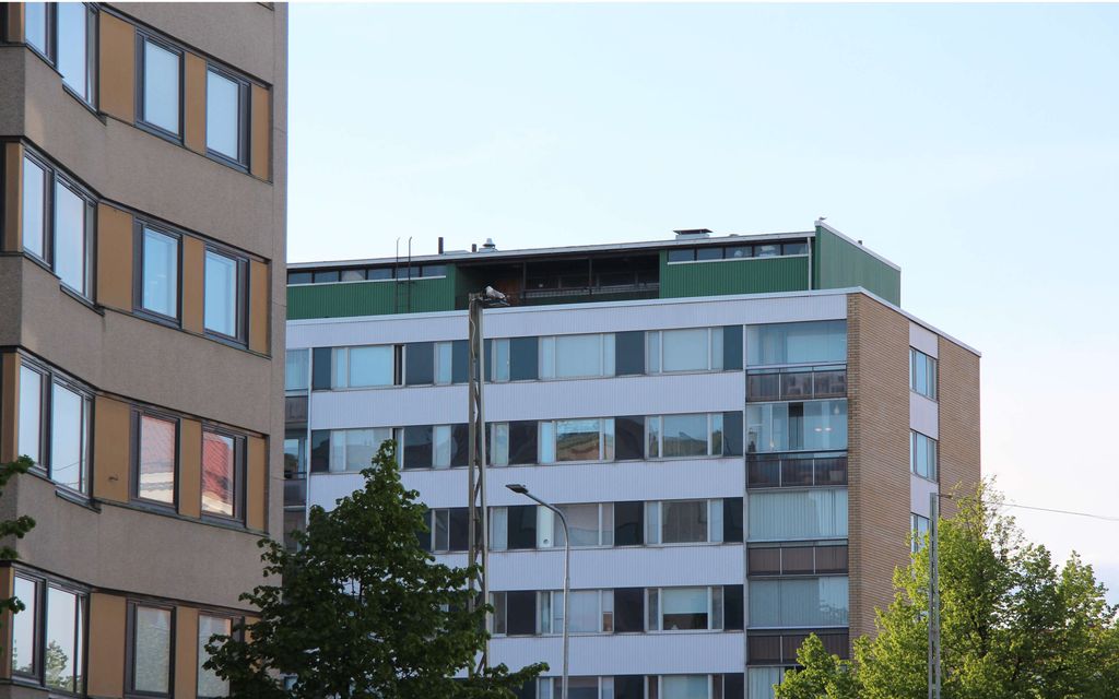 Mainoskyltin alle jäänyt mies kuoli Tampereella – Nyt poliisi etsii syyllistä