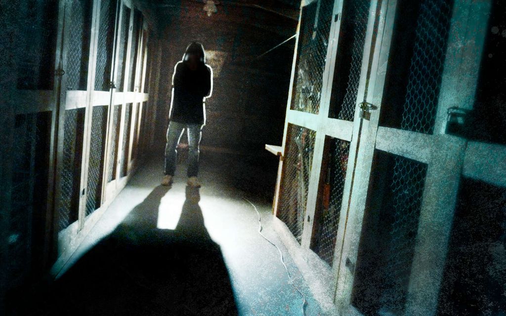 Tänään tv:ssä: Vieno vainosi naapureitaan – Tällaisia viestejä hän lähetti