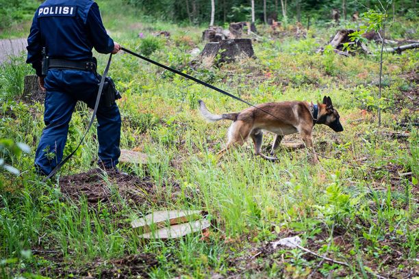 Useat poliisikoirat auttoivat etsimään Valkkisjärven rannasta kadonnutta miestä. Hänet löydettiin etsintöjen päätteeksi keskiviikkona.