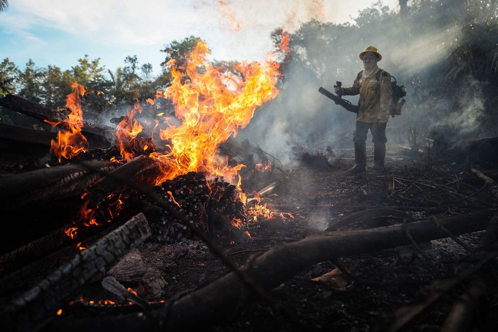 Koronatilannetta käytetty hyväksi Amazonissa: kesäkuun metsäpalomäärä korkein 13 vuoteen