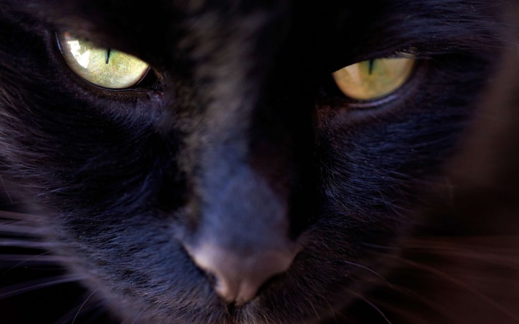 Tästä syystä tätä päivää pelätään