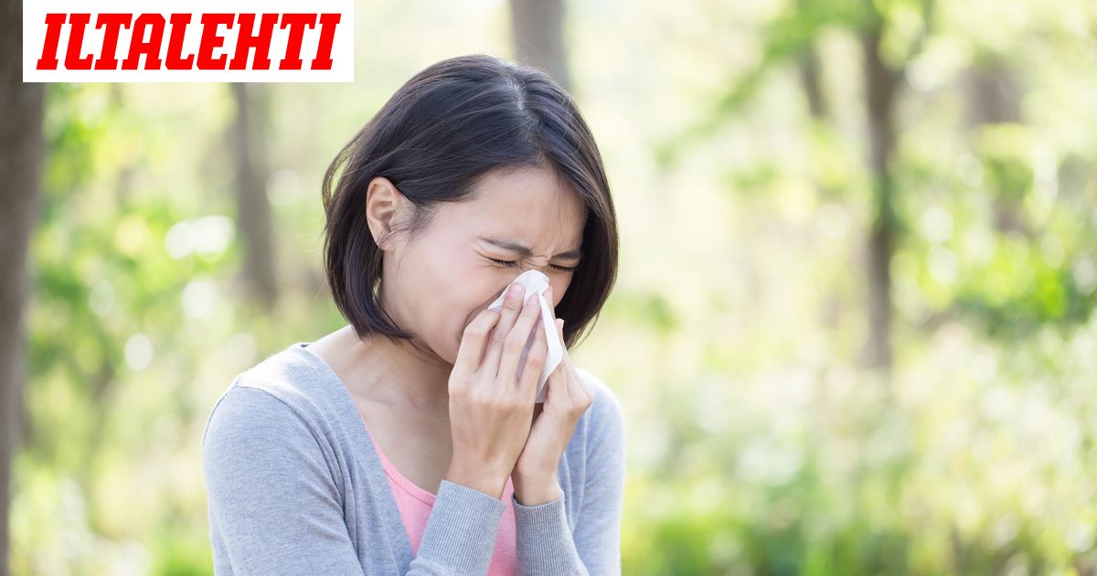 Erota Allergiaoireet Koronan Ja Flunssan Oireista