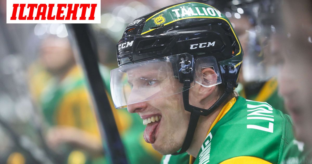 www.iltalehti.fi