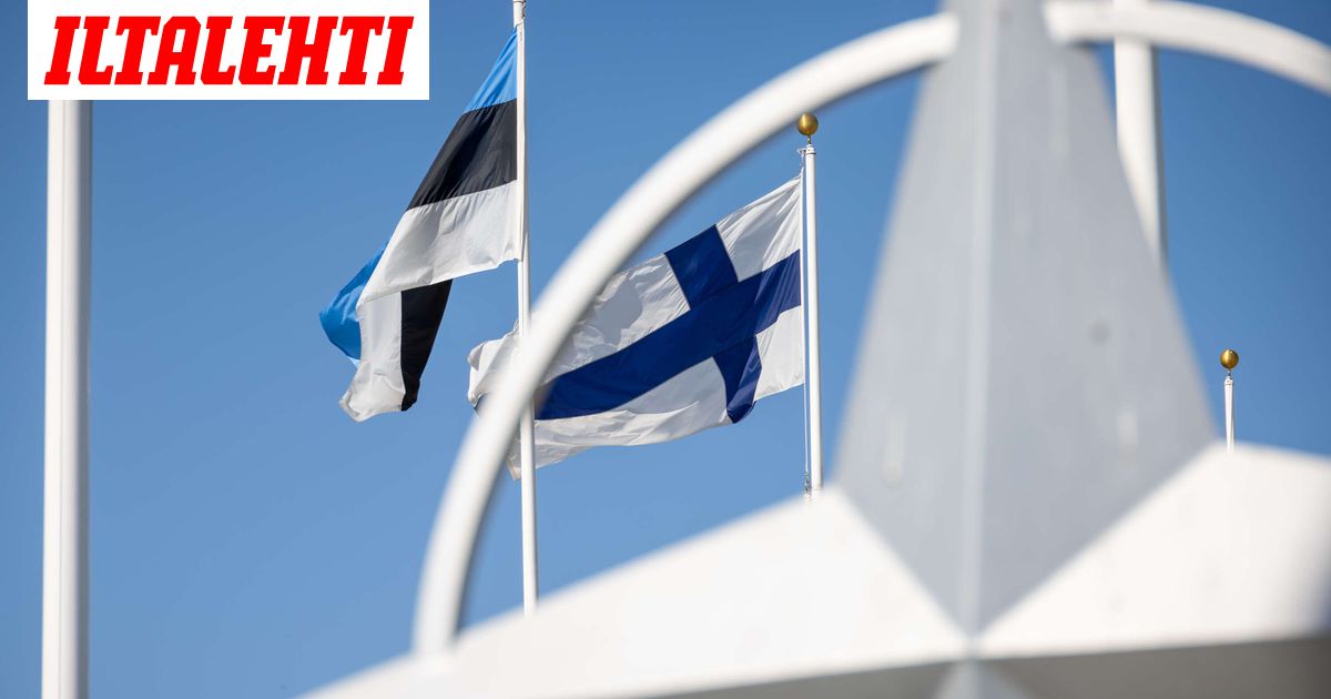 www.iltalehti.fi