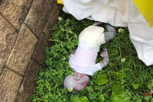 Puistosta löytyi eloton vauva New Yorkissa, ensihoitajat julistivat  kuolleeksi ja poliisi tutki tapausta - vasta oikeuslääkäri huomasi, että  kyseessä oli nukke