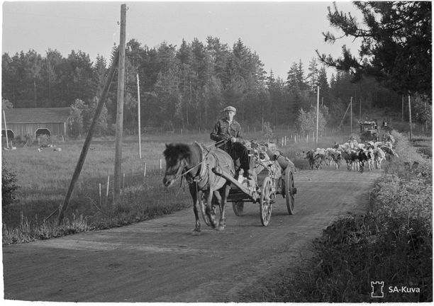 Impilahden siirtoväkeä matkalla länteen.