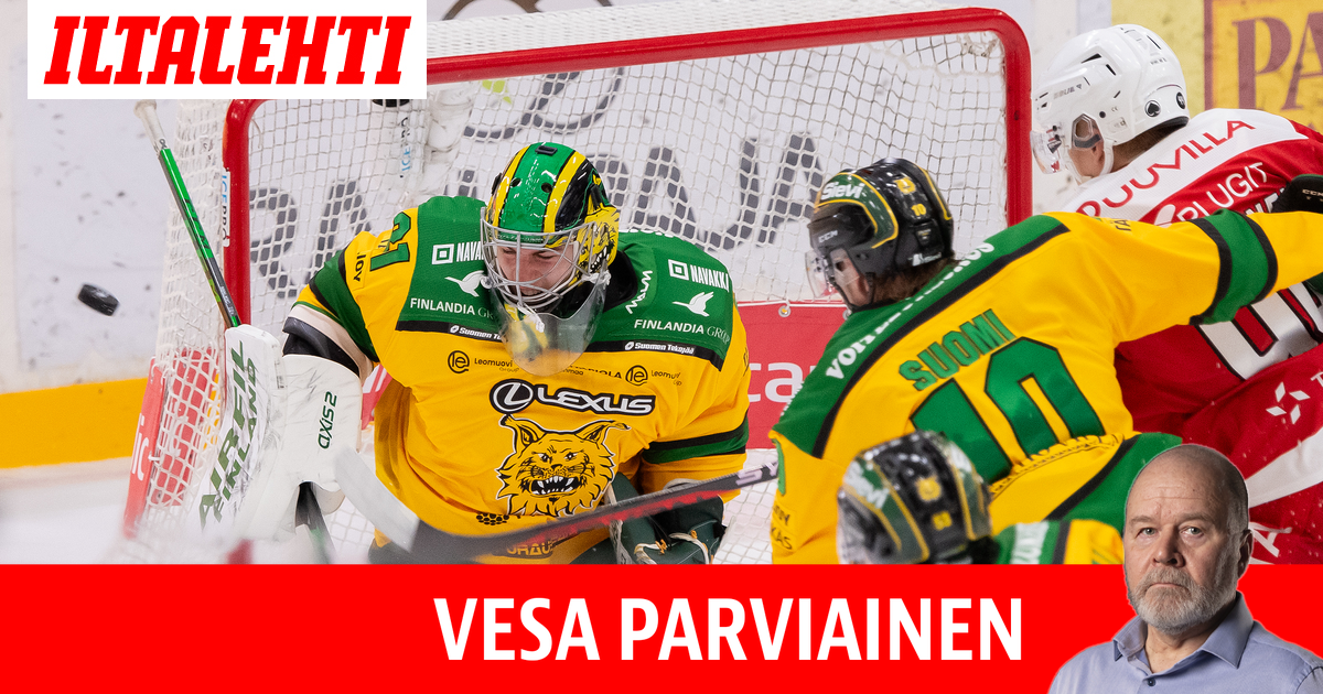 N k kulma Poika Ja Ilves Mielikuva HIFK n Suvereenista 