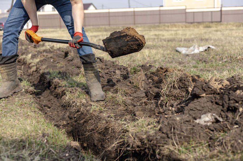 Volunteer digging with shovel