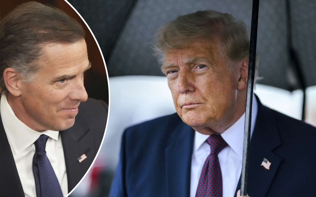 Viiltävä piikki Trumpille – Meidän rakas johtajamme