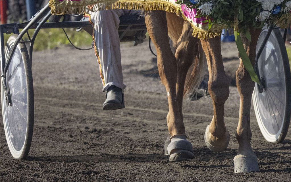 MT: Ravikuningatar kuoli ähkyyn