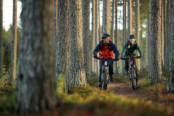 Pohjolan rengastien erilaisista reiteistä voi nauttia vaikkapa pyöräillen tai patikoiden.