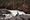 Kiutakönkään komeat putoukset Karhunkierroksen varrella. Kiutaköngäs on koskien sarja, jossa vesimassat putoavat 14 metriä 325 metrin matkalla.