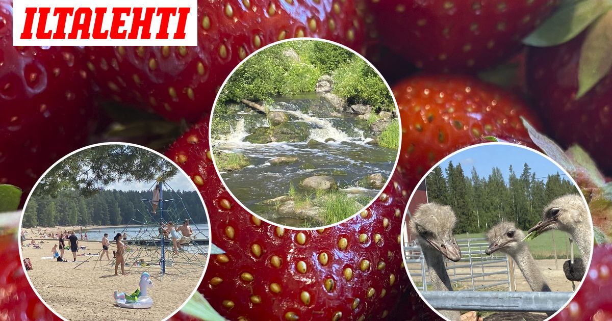Nurmijärvi: nähtävyydet, kosket, Sääksjärvi - Vimarsana News