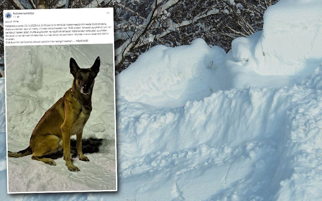 Alakoulu­ikäinen hautautui lumeen Jyväskylässä – Poliisikoira löysi lapsen tuntien jälkeen