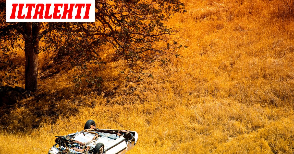 Rattijuoppo vei hengen: rangaistukset kevyitä - Vimarsana News