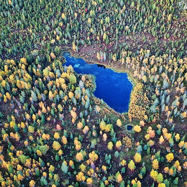 Lapista löytyy Suomen muotoinen järvi, Neitokainen. Tältä se näytti viime syyskuussa ruskan aikaan.
