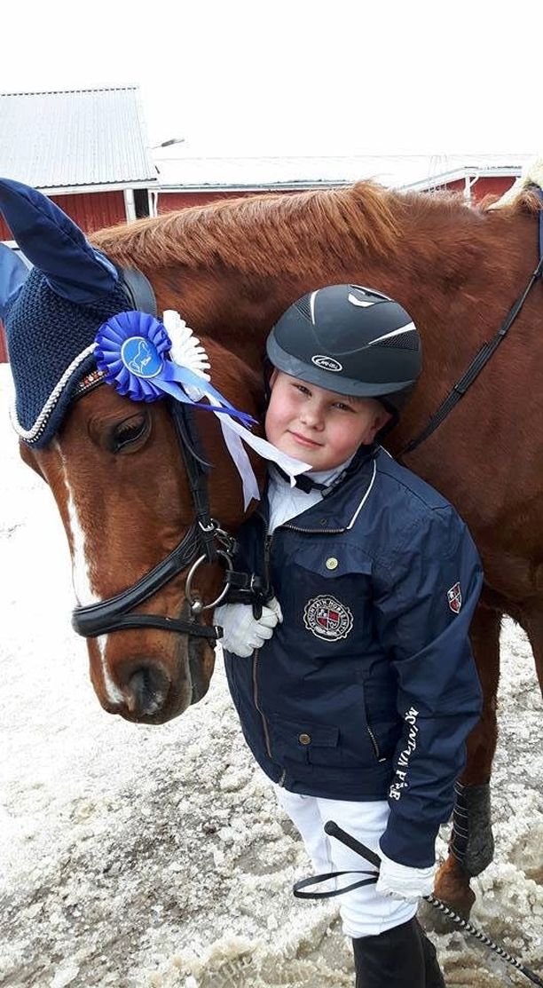 Arvi, 11, menestyy korubisneksessä - rahat hevoseen pian kasassa