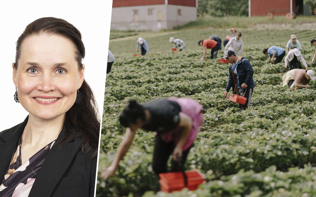 Juvan Lehti: Juvalla pidettiin ”orjahuuto­kauppa”, jossa kaupattiin perus­suomalaisten kansanedustaja