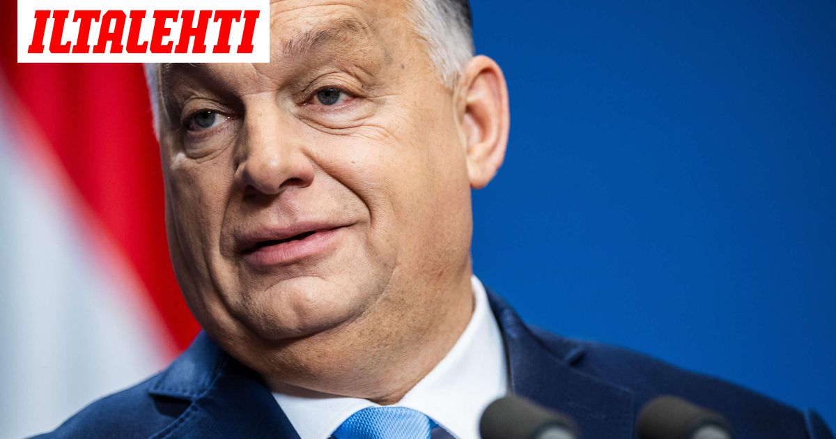 www.iltalehti.fi