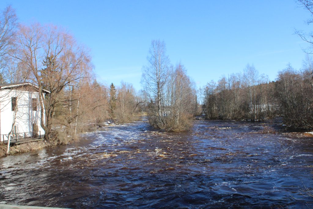 Kevättulvat iskemässä ennätysrajuina: Pohjanmaalla joet voivat nousta parissa päivässä