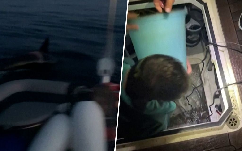 Purjehtijat kauhistuivat aluksen kohtaloa keskellä merta – Videolle tallentui hätkähdyttävät hetket Gibraltarilla