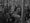 Luvallista viinaa. Aihekuva: Tämä kuva ei liity tapaukseen. Sotilaille jaetaan viina-annoksia luvan kanssa Syvärillä kesäkuussa 1943.