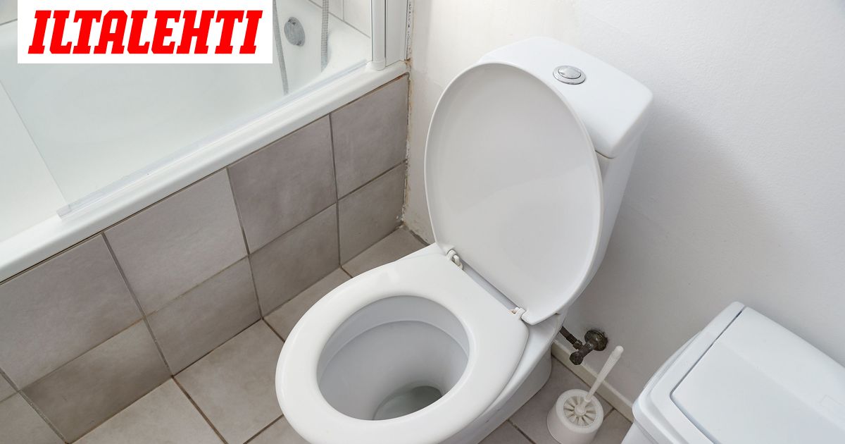 Vessanpontto Asennettu Usein Vaarin Nain Korvaat Sen Seina Wc Lla