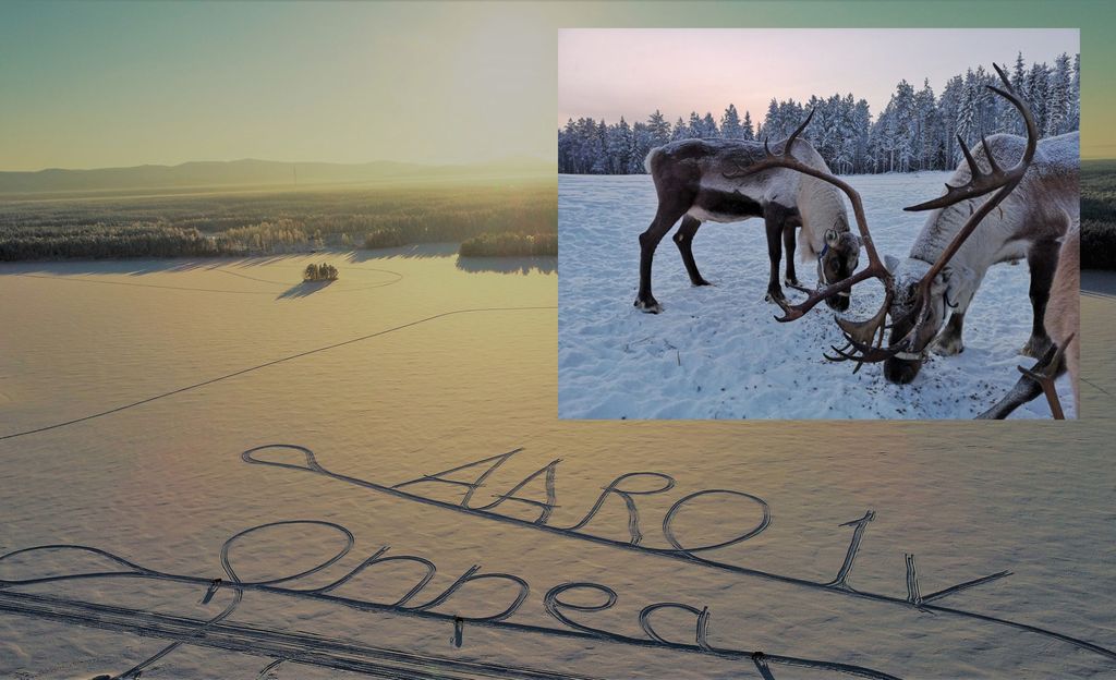 Kuusamolaiset porot toivottavat onnea 1-vuotiaalle presidentinpojalle Aarolle - huimannäköiset onnittelut järven jäällä