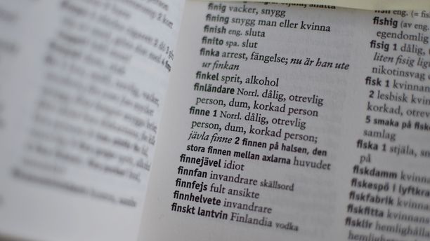 Suomalaiset kuvataan slangisanakirjassa huonoiksi, epäystävällisiksi ja tyhmiksi. Viittaus Norr. tarkoittaa, että ilmaisu on käytössä Norrlannissa, Pohjois-Ruotsissa.
