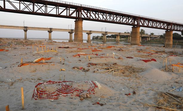 Gangesin rantaan huuhtoutuneita ruumiita lasketaan mataliin hautoihin joen penkalle. 