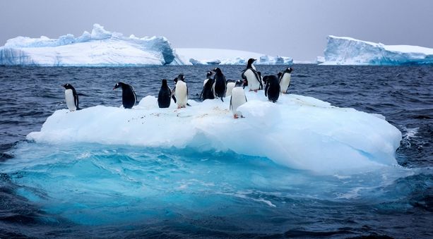 Etelämantereella keskilämpötila on noussut lähes kolme astetta viimeisten 50 vuoden aikana.