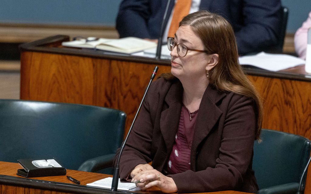 Vihreät esittävät laajoja helpotuksia laittomasti Suomessa oleville