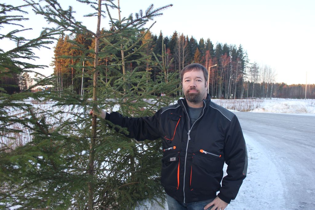 Hannun hyvän mielen joulutempaus: Lahjoitti ihmisille joulukuusia omasta metsästään