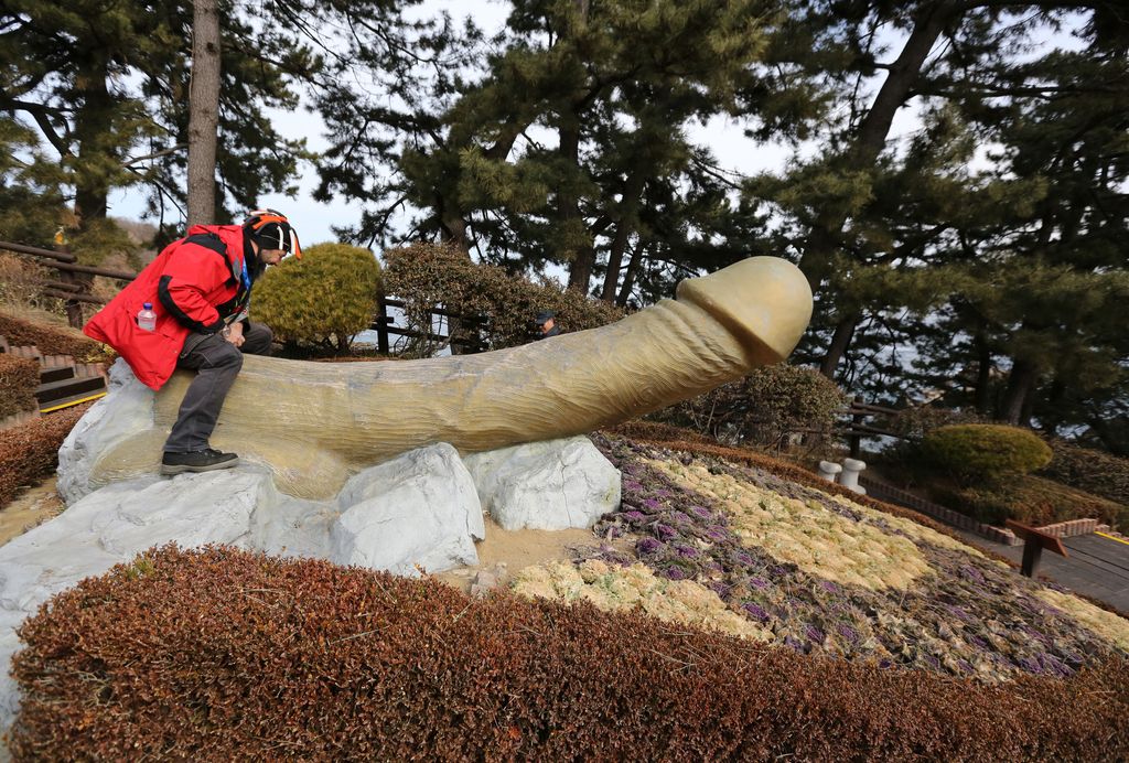 Korealainen fallospuisto herättää monessa hilpeyttä - kuvat kertovat, miksi