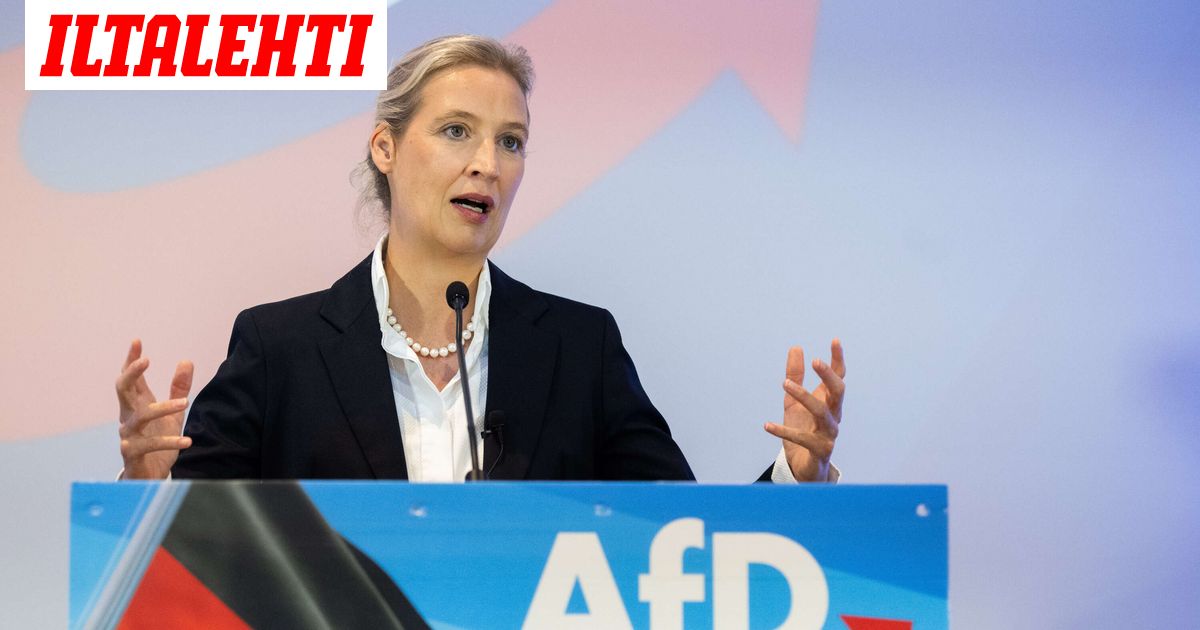 www.iltalehti.fi