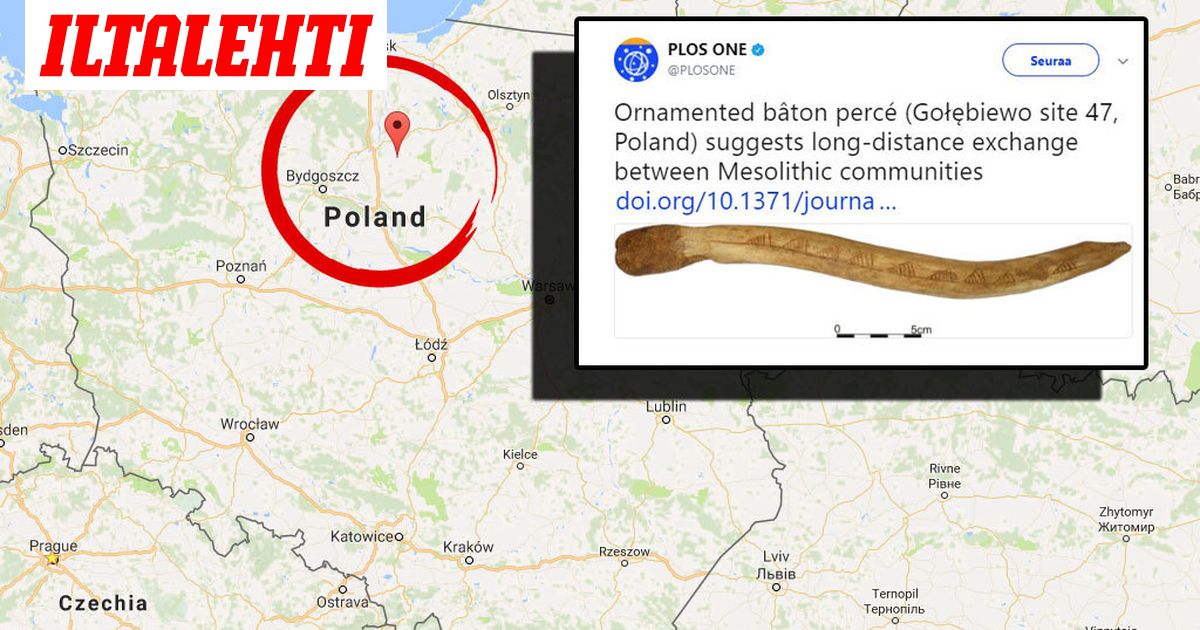 Puolasta löytyi jopa 11 000 vuotta vanha suomalainen poronsarvisauva