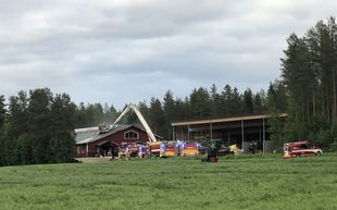 Iso rekka kuski kukko