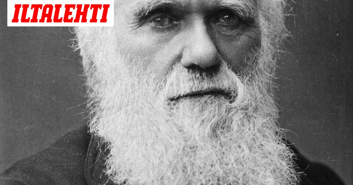 Anteeksi Charles Darwin, terveisin kirkko