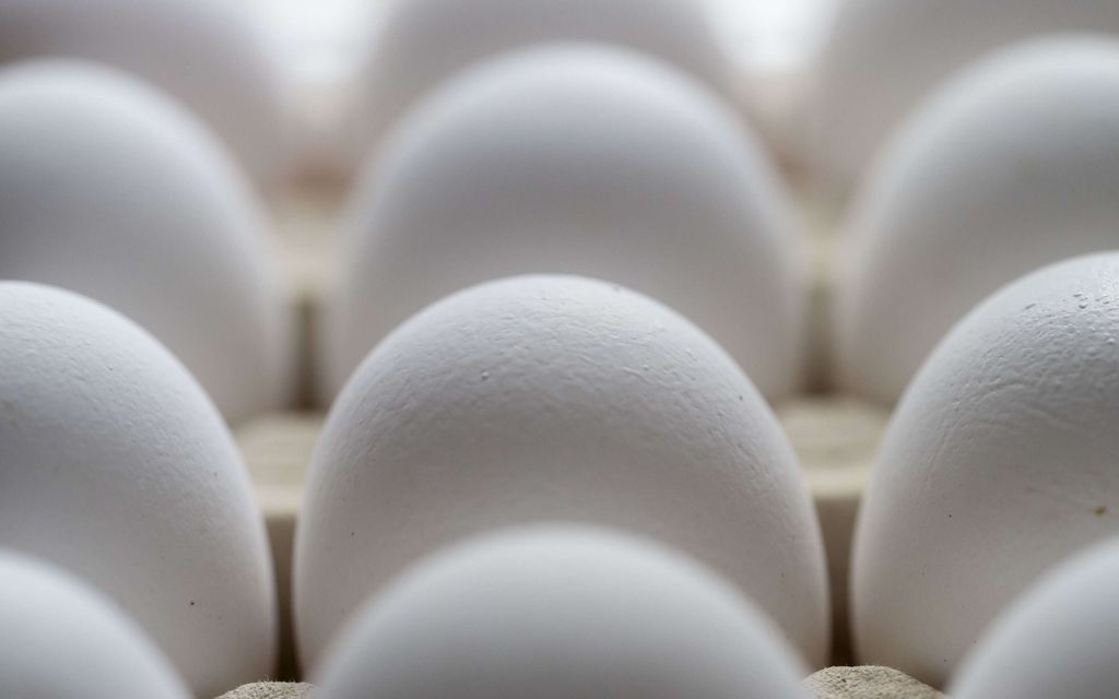 Ostitko näitä kananmunia? Salmonella­epäily koskee nyt useampaa pakettia 